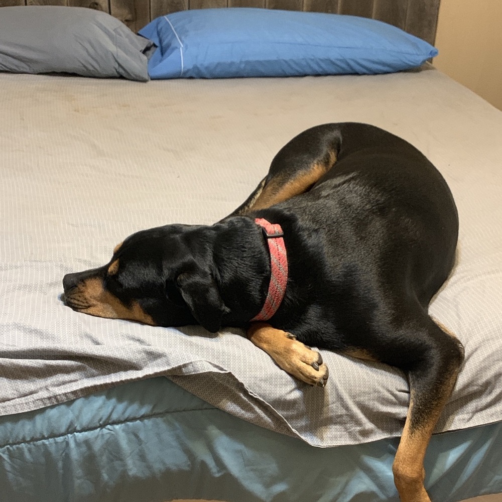 Meet your Posher, Patrick